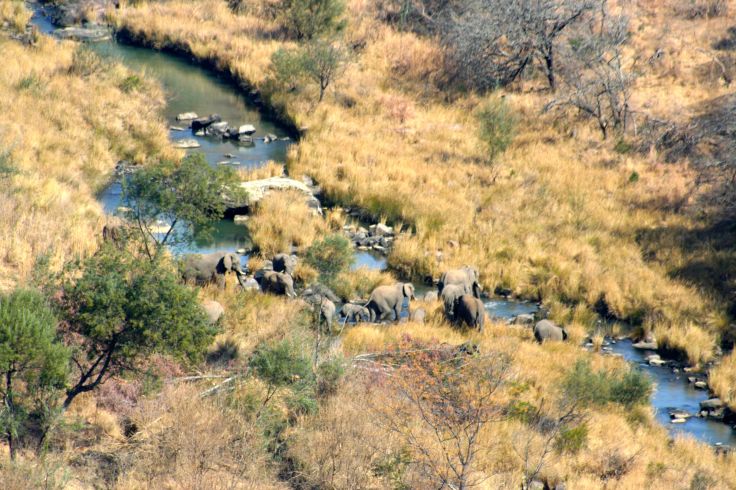 Réserve privée de Nambiti - Ladysmith - Afrique du Sud