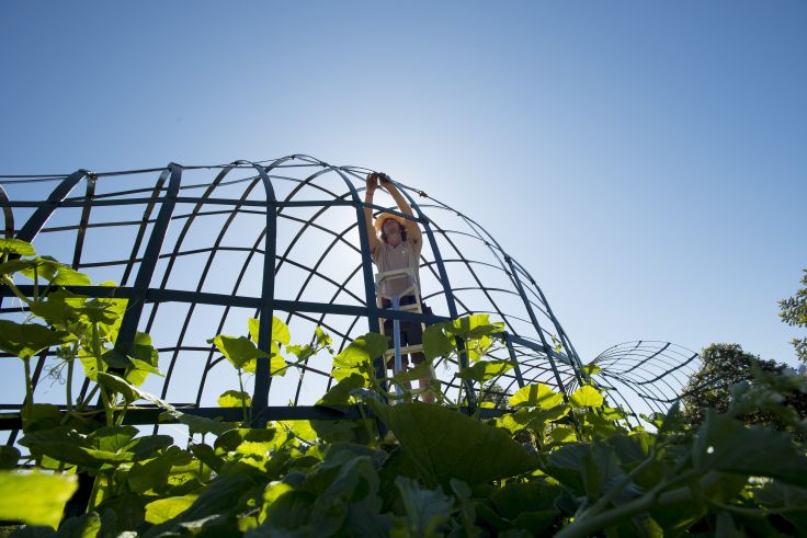 Babylonstoren Farm - Paarl - Afrique du Sud