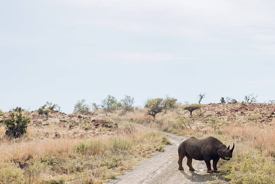 Afrique du Sud