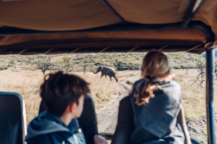 Parc Kruger - Afrique du Sud