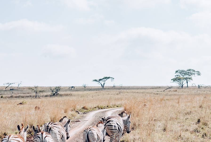 Afrique du Sud