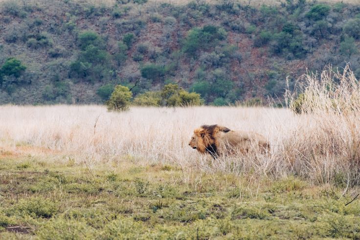 KwaZulu-Natal - Afrique du Sud