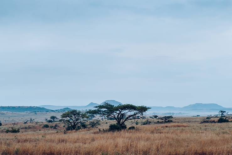 KwaZulu-Natal - Afrique du Sud