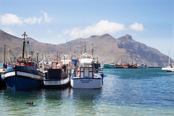 Hout Bay - Cap-Occidental - Afrique du Sud