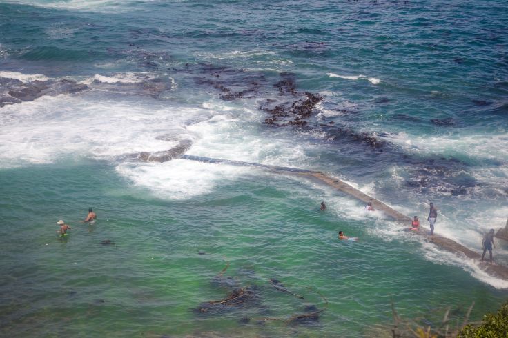 Hermanus - Afrique du Sud