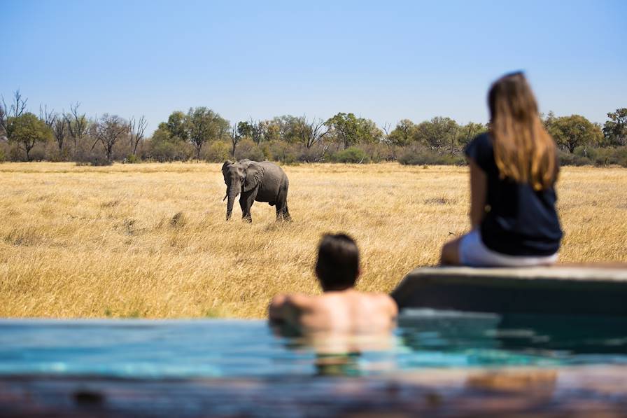 botswana photo