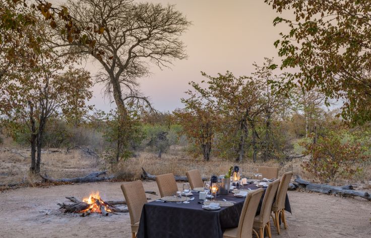 Reserve Privée de Timbavati - Afrique du sud