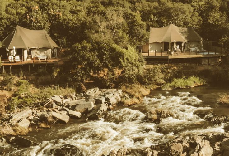 Voyage itinérant Afrique du Sud - Réserve de Nkomazi - White River - Hoedspruit - parc Kruger - Le Cap