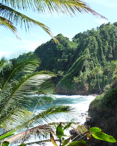 Voyages itinérants La Dominique - Antigua