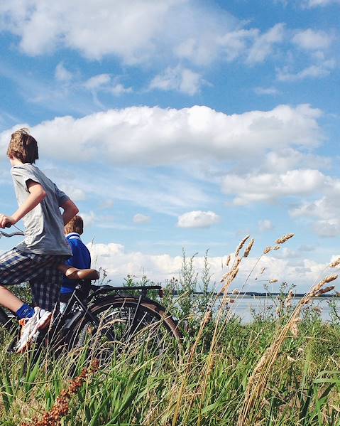 Voyages itinérants Estonie - Île de Saaremaa - Pärnu - Vihula - Tallinn