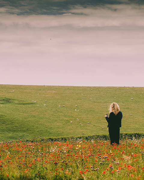 Voyages itinérants Pays de Galles - Conwy - Snowdonia - St David's - Brecon Beacons