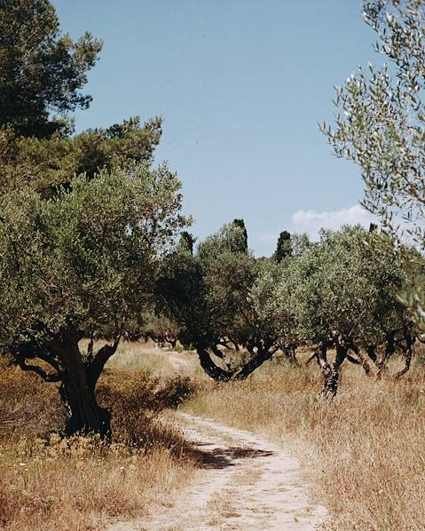 Voyages itinérants Italie - Pouilles - Canosa di Puglia - Matera - Vallée d'Itria - Martina Franca - Nardo