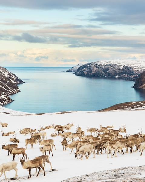 Voyages itinérants Allemagne - Hambourg - Suède - Stockholm - Abisko - Norvège - Narvik - Kirkenes