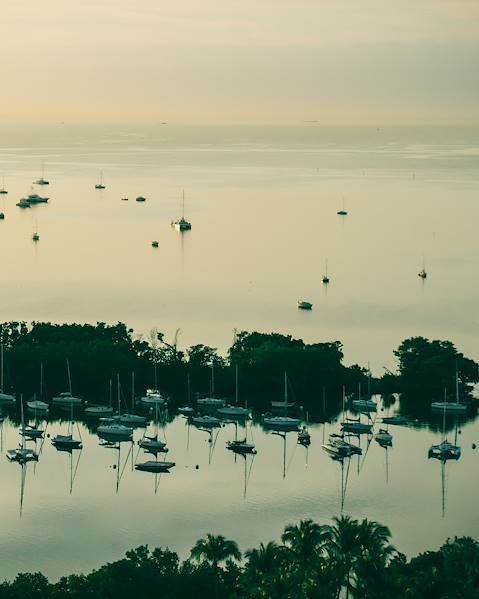 Voyages itinérants États-Unis - Floride - Miami - St. Petersburg Beach - Gainesville - St Augustine - Amelia Island