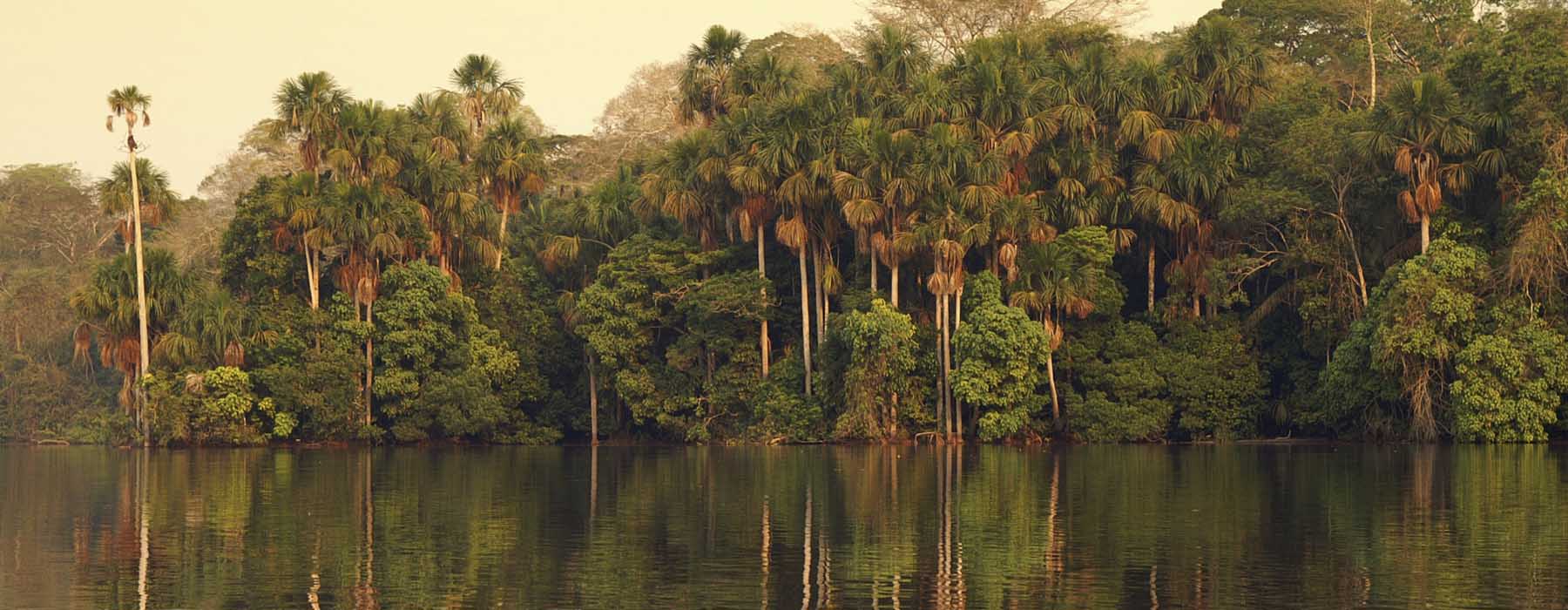 Voyage  Amazonie péruvienne