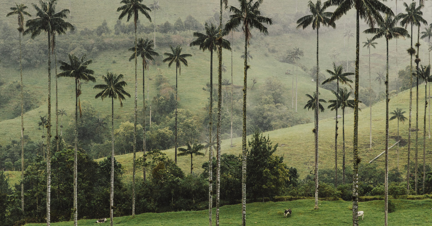 D'une ville à l'autre Colombie