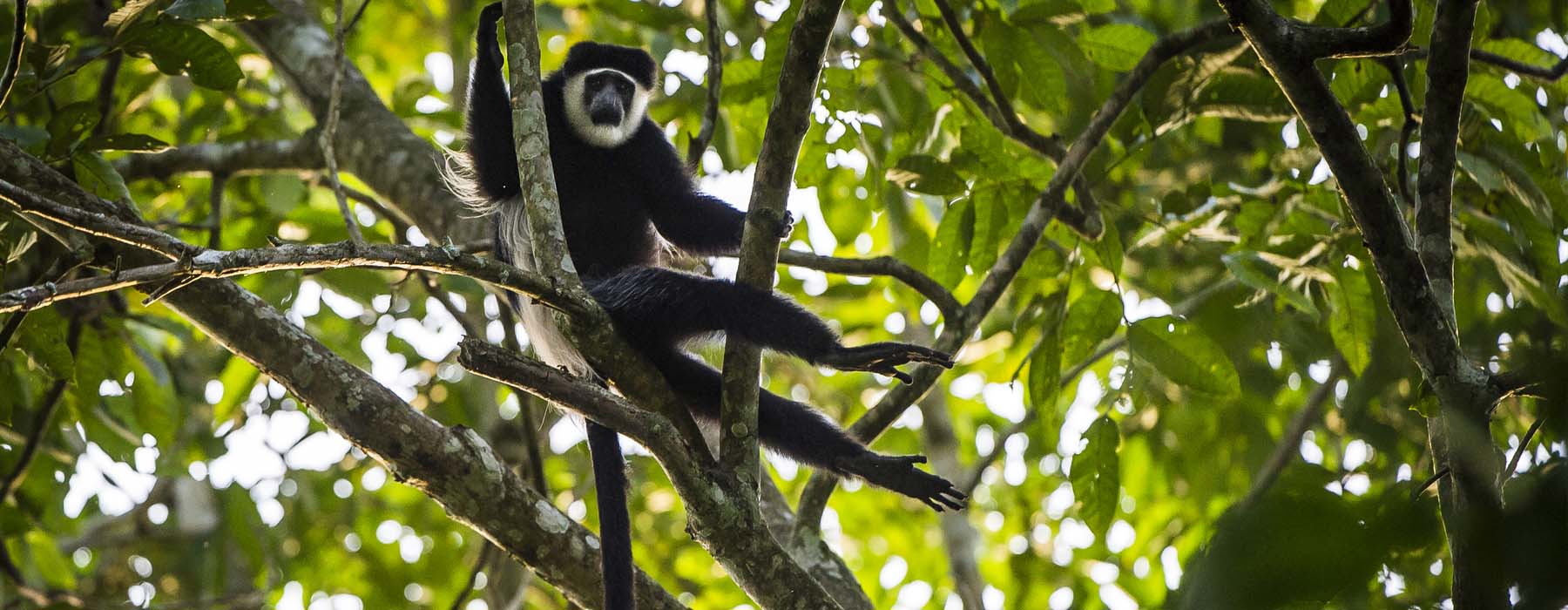 Partir à deux Congo