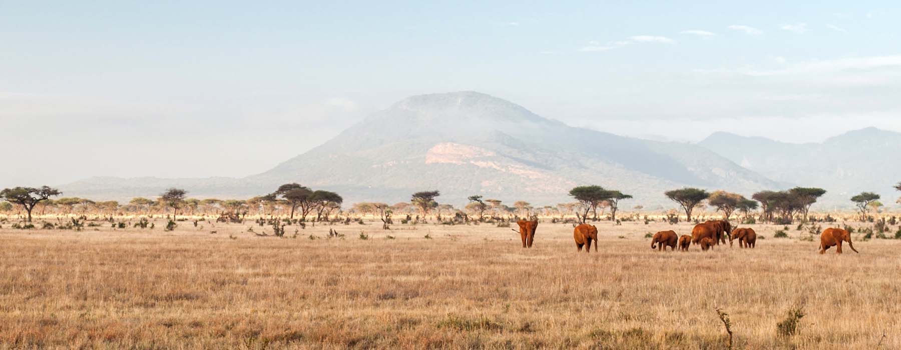 Grands espaces Kenya