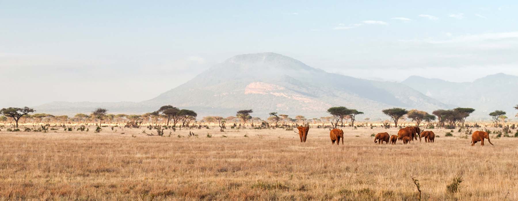 Pieds dans l'eau Kenya