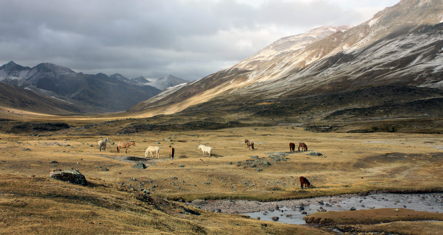 Voyage  Les Andes