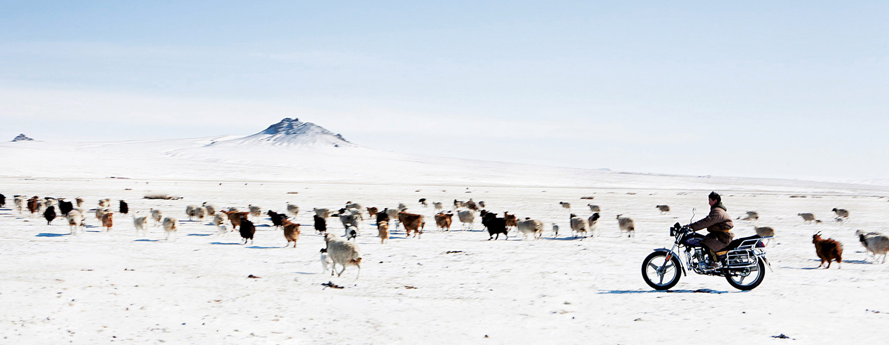 Je voyage éthique Mongolie
