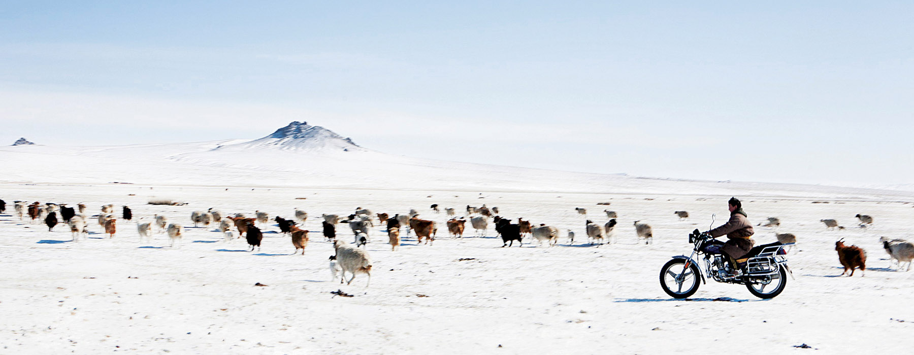 Bouts du monde Mongolie