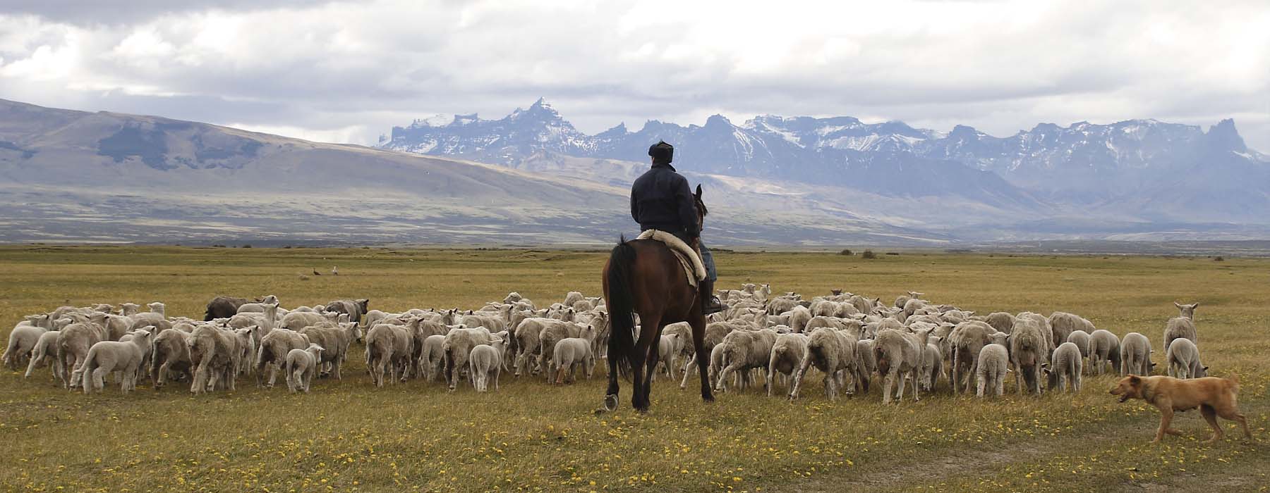 Patagonie chilienne