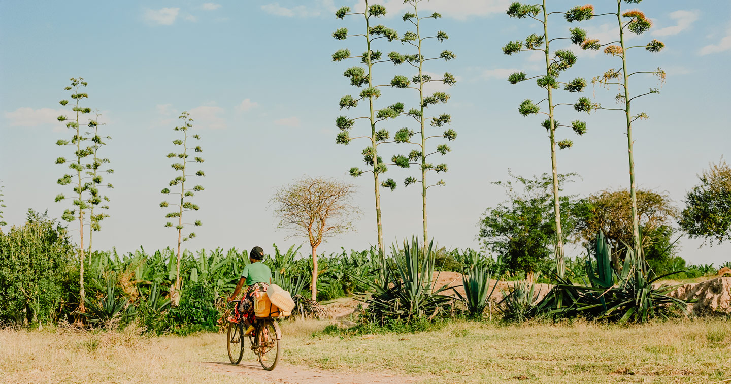 Nature et art de vivre Rwanda