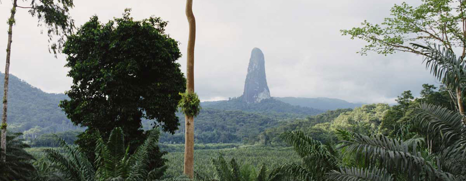 Esprit Robinson Sao Tomé et Principe