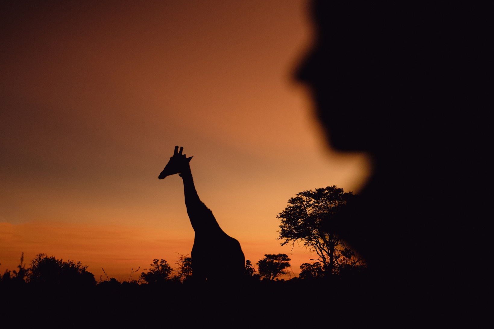 Vacances d'été Tanzanie