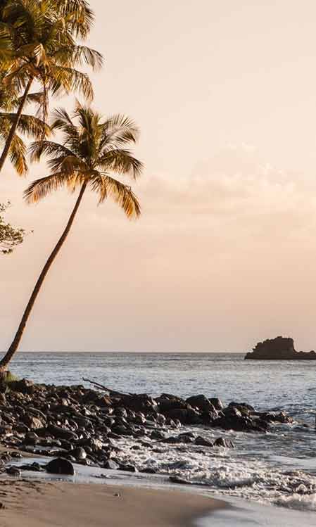 martinique ou guadeloupe