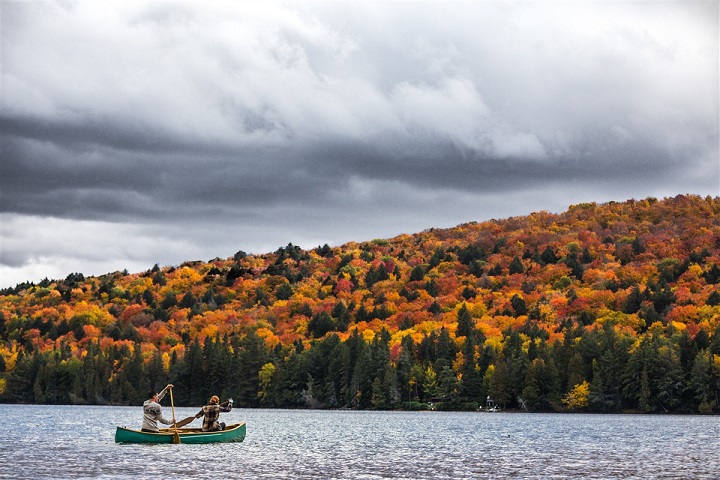 Kayak dans le parc Algonquin