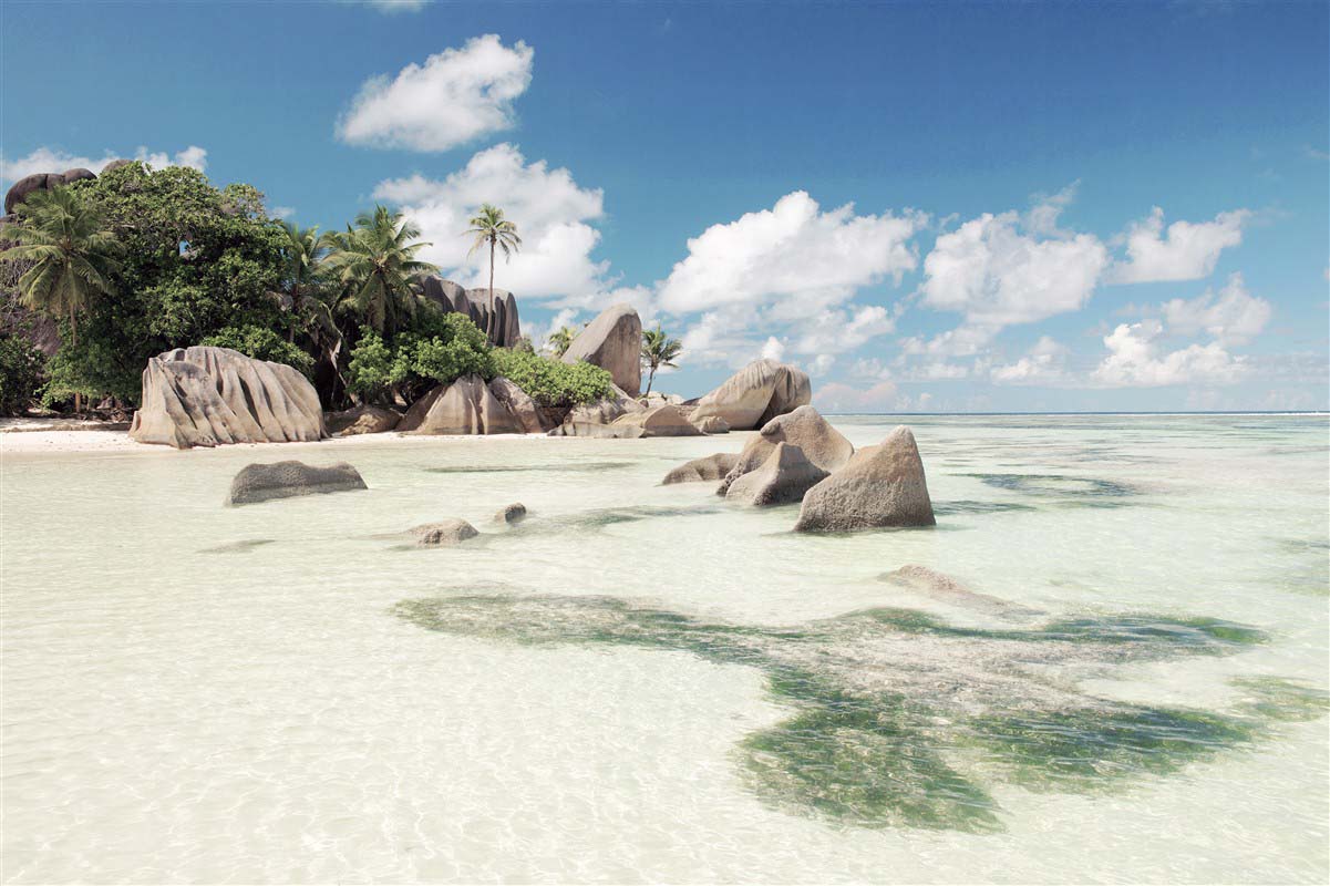 La digue