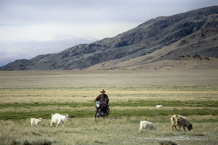 Désert de Gobi