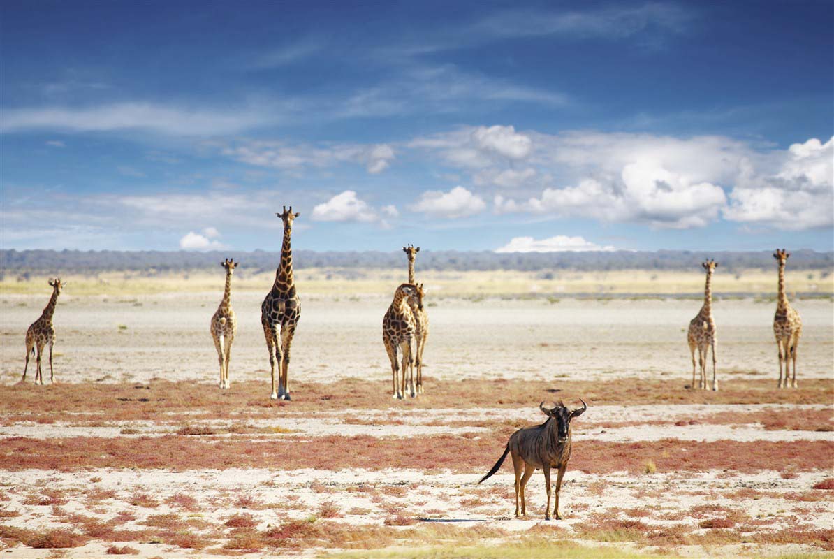 Etosha