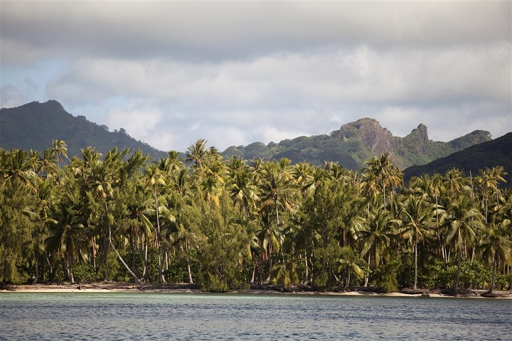 Foret et plage à Huahine