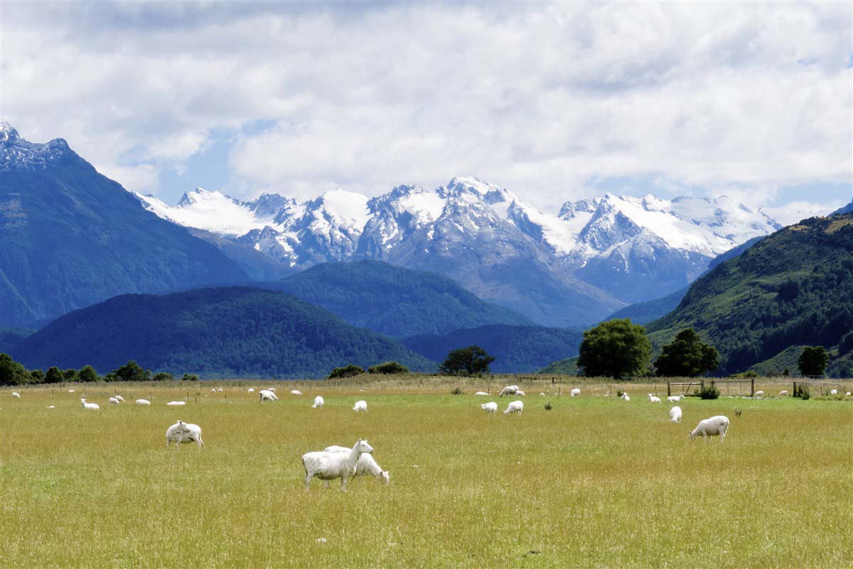 montagnes du High Country