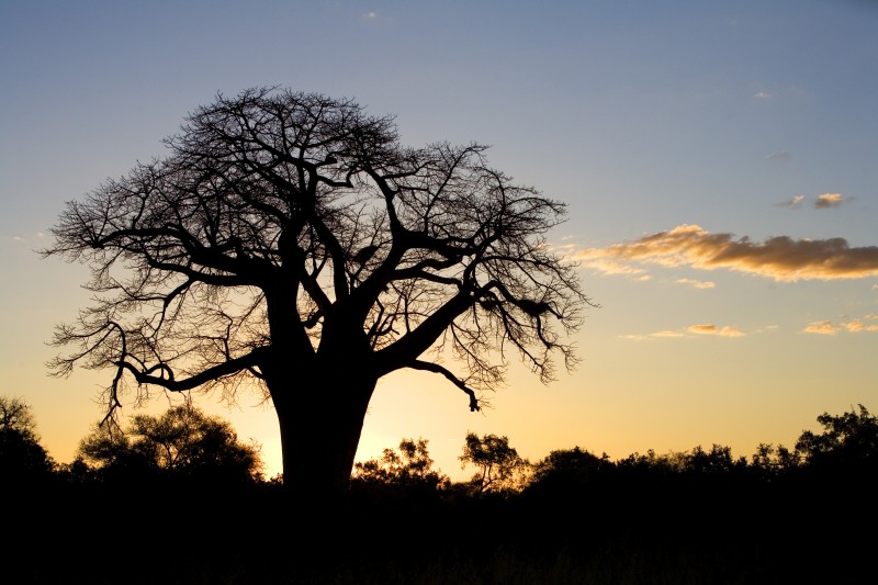 couché de soleil dans le Kruger