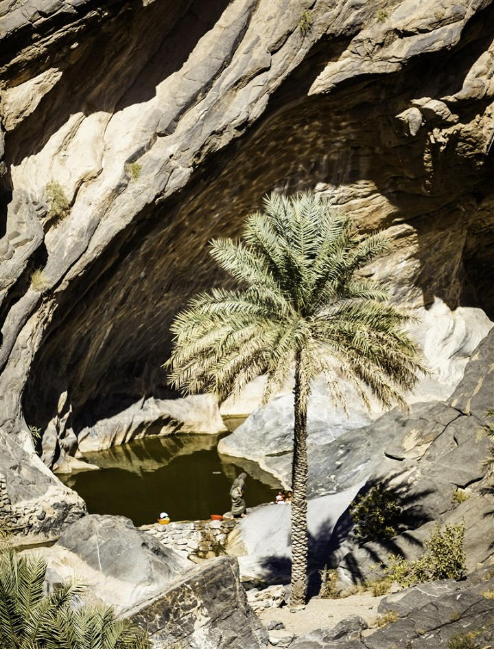 Oasis dans le désert