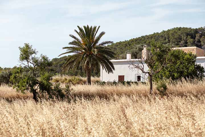 Maison dans un champ d'Ibiza