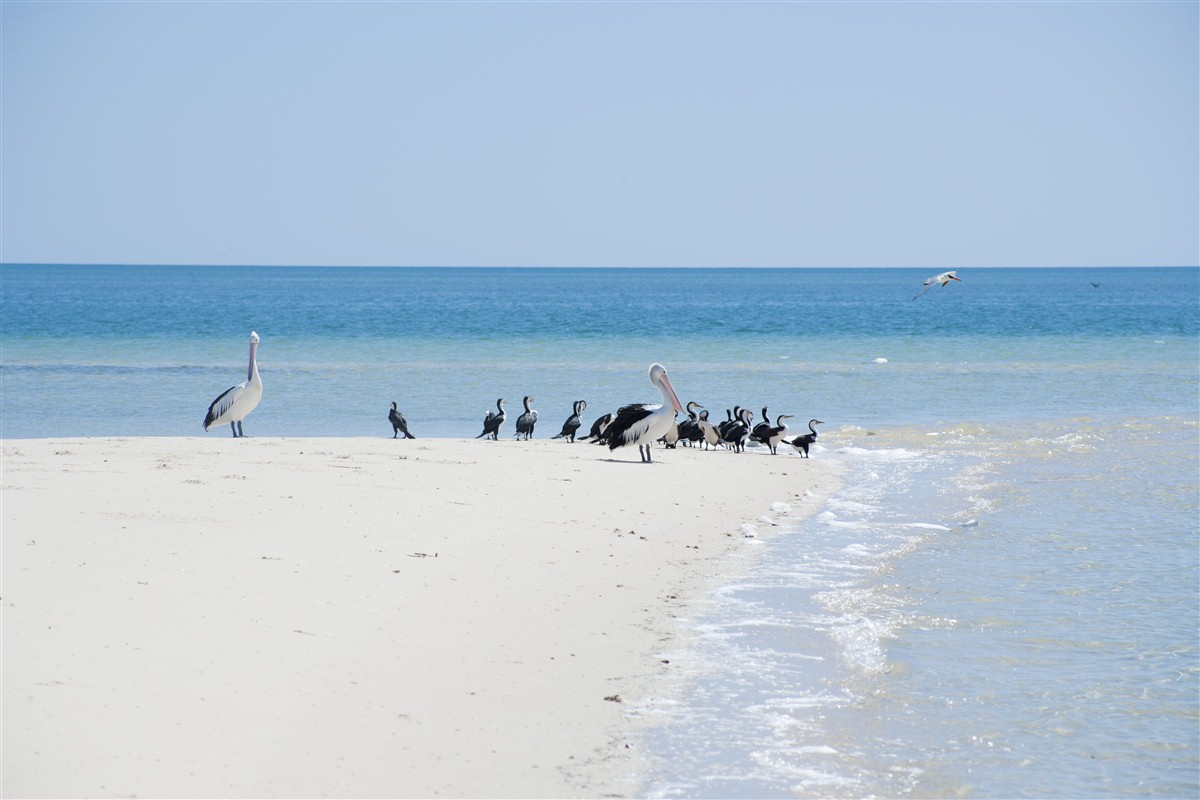 Belle plage en Australie