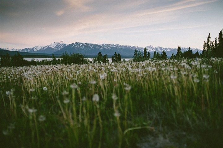 Montagnes Wrangell