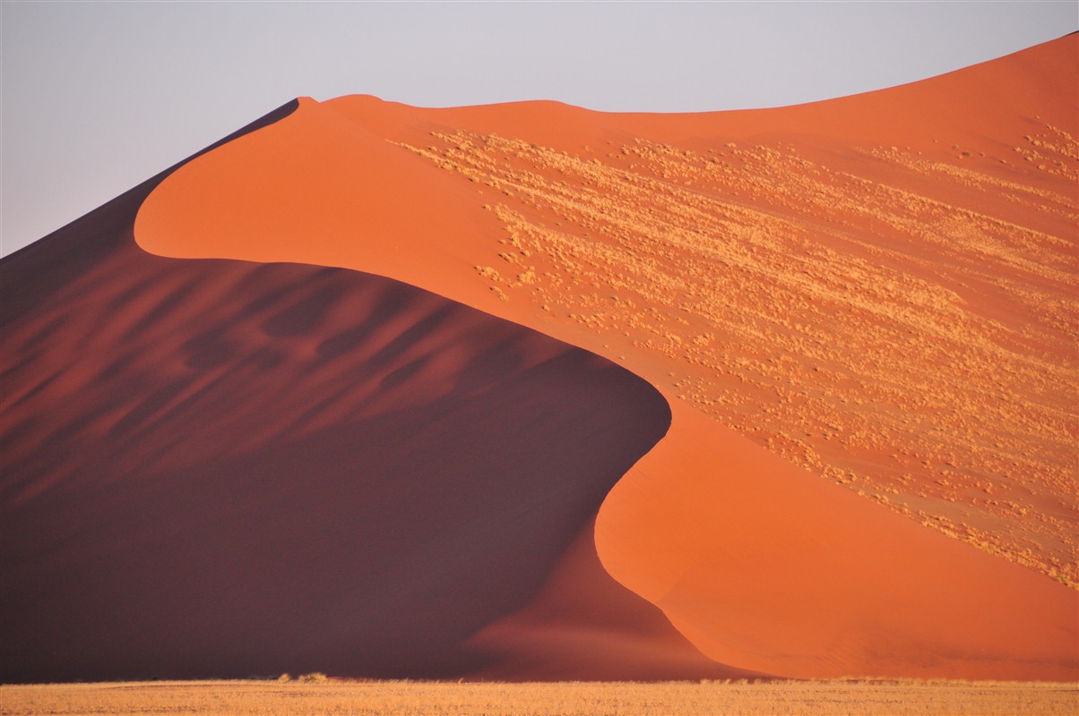 Désert du Namib