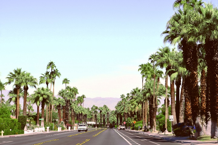 Palm Canyon Drive