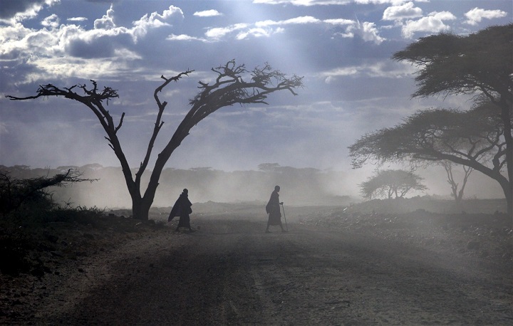 Parc national du Serengeti