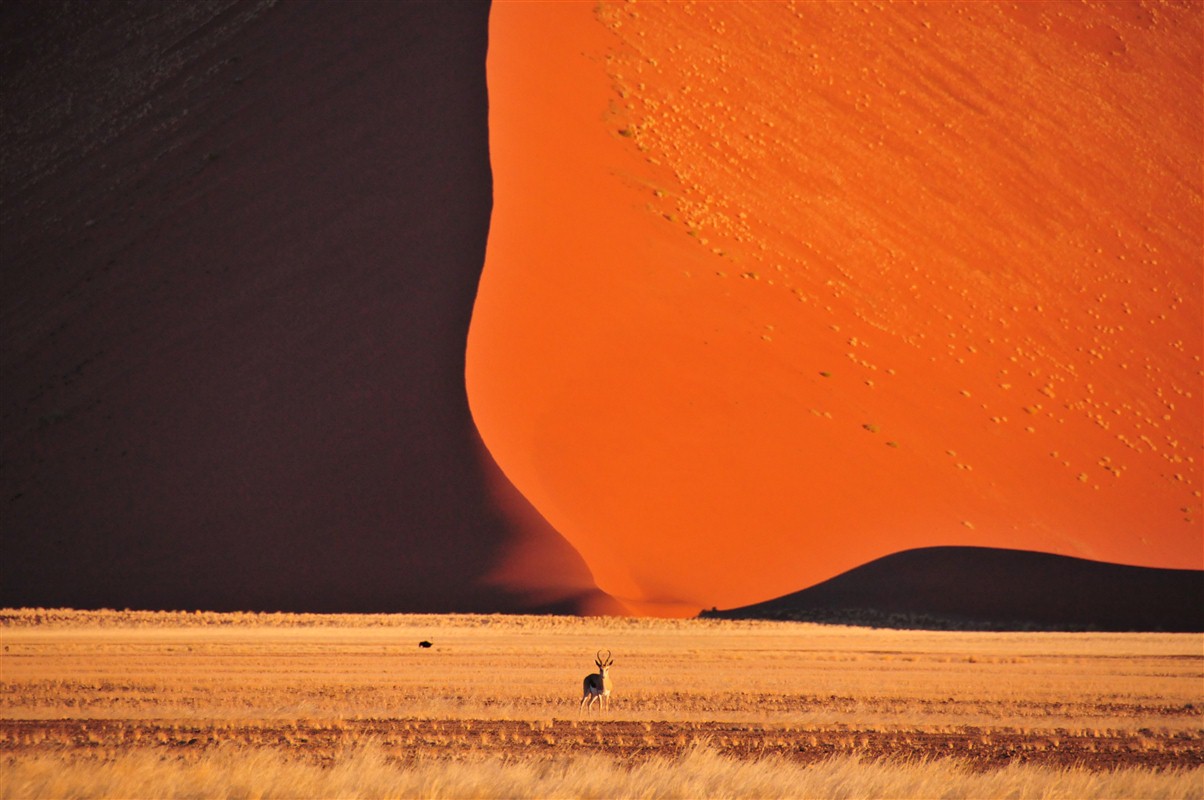 paysage namibie