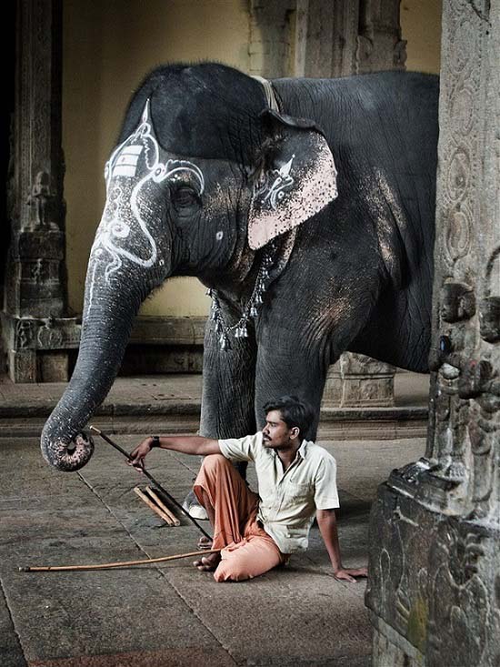 Temple de Minakshi Madurai Tamil Nadu Inde