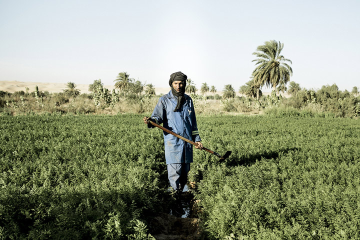 Un agriculteur en mauritanie