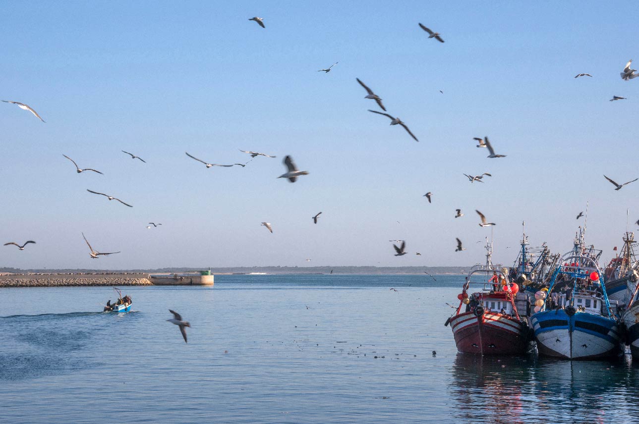 port d'Agadir