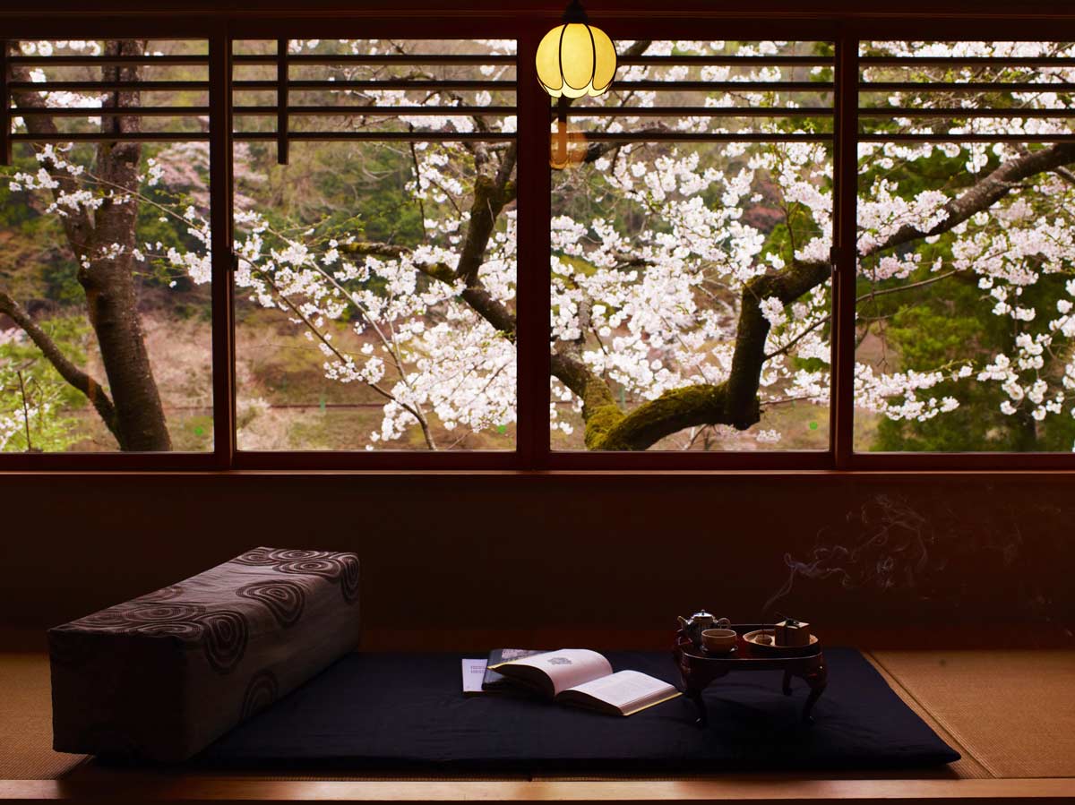 Cerisiers en fleurs à Kyoto